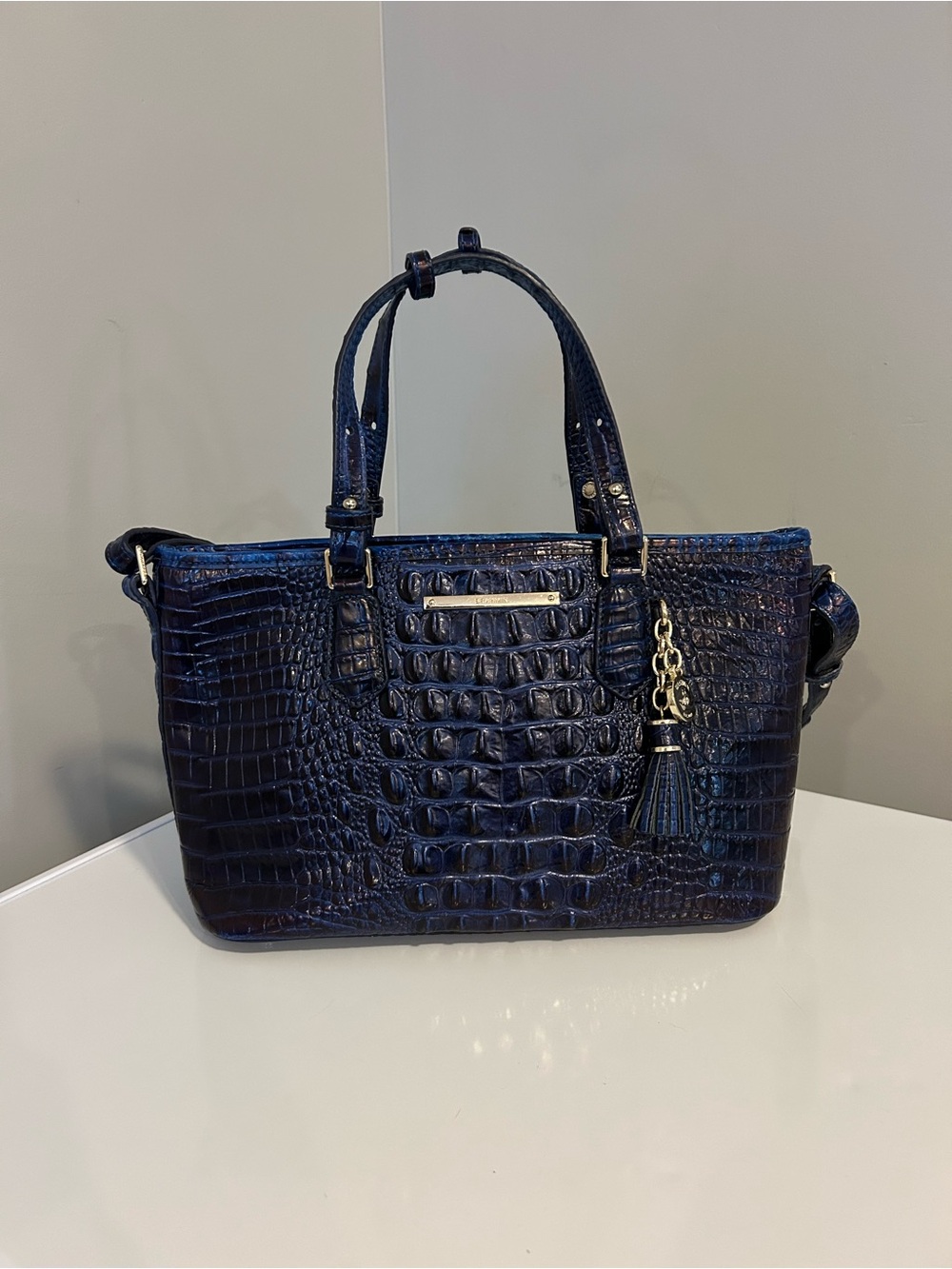 Brahmin Mini Asher Tote